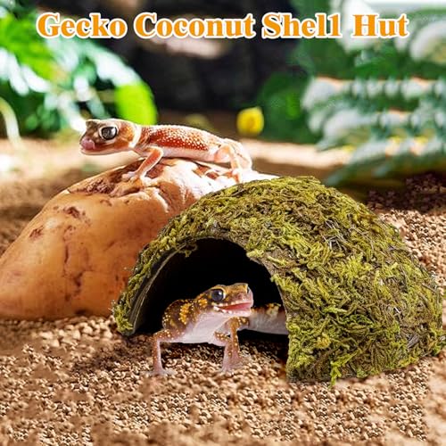 PINVNBY 2 Pack Natural Green Moss Hide Caves Coconut Reptile Hideouts Hamster Climbing Toys Gecko Habitat Decor Lizard Shell Shelter for Snake Tarantulas Turtle Chameleon - size: 2 PCS Moss Surface