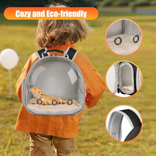 Portable Bearded Dragon Backpack Carrier with Leash and Harness Set, Beardie Carrier, Lizard Adjustable Harness with Leather Wings and Sling Bag, Reptile Small Pet Travel Cage - color: Black