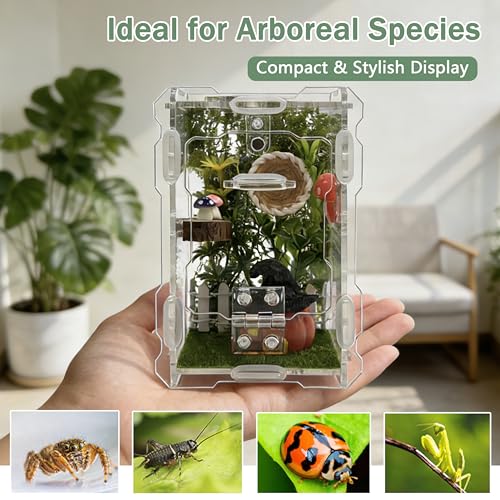 Jumping Spider Enclosure Kit - Acrylic Habitat with Magnetic Lock & Feeding Port - 5.1x3.1x3.1 inch Ventilated Terrarium for Small Pets, Jumping Spiders, Tarantula Slings, Beetles - size: 5.1 x 3.1 x 3.1 inches