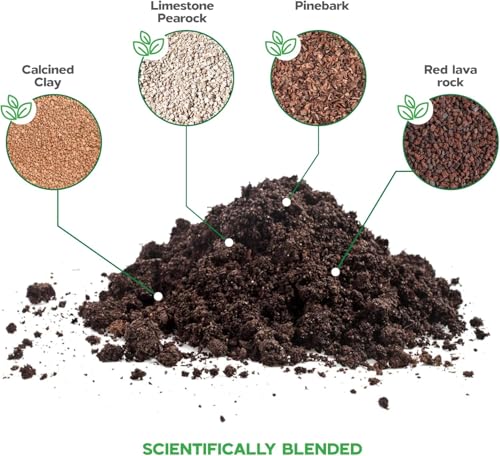 Bonsai Soil Mix Ready to use Tree kit Lotus Seeds for Planting in Water Bonsai pots Wire Tree pots akadama Soil - color: Bonsai Soil