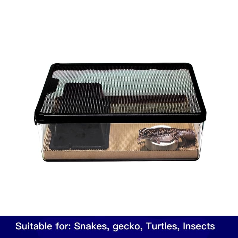 AWXZOM Reptile Feeding Box Clear Terrarium for Geckos, Frog, Lizards, Chameleons, Serpents, Scorpion, Snail, Insect, Hermit Crab, Isopods - 12.6x8.6x3.9inch