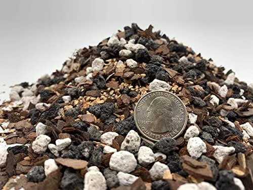 Bonsai Soil All Purpose Mix | Fast Draining Pre Blend (2 Quart Bag) Plant | Pumice, Lava, Calcined Clay and Pine Bark ● Potting Pre Mixed Bonsai Plant Soil Mixture By The Bonsai Supply - size: 2 Quarts All Purpose Mix