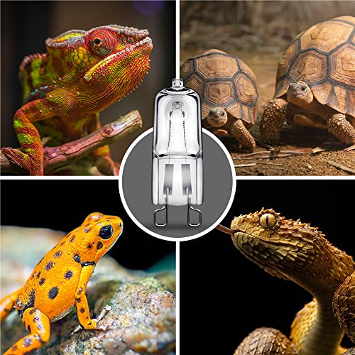 Briignite G9 Heat Lamp Bulbs for Reptile, Mini Reptile Light, Dimmable G9 Mini Heat Bulb Warm White 50W, 2 Pin Base UVA Reptile Heat Lamp, Bearded Dragon Gecko Turtle Lizard, 2 Pack - color: Cream, size: G9 Heat Bulb