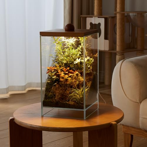 13.7H+7.8W Desktop Glass Plant Terrarium with Light, Large Propagation Station for Succulent, Moss, Miniature Gardening Landscape, Betta Fish Tank