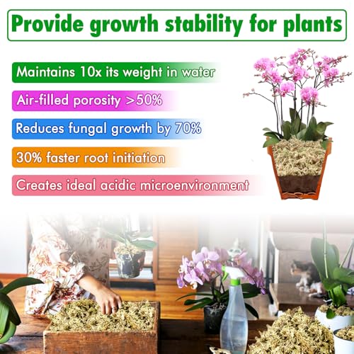 ZeeDix 4 qt Sphagnum Moss for Indoor Plants, Natural Dried Long Fiber Moss for Orchid Repotting, Carnivorous Plants, Succulents, Monstera, Flower & Reptile Terrariums Habitats (3 oz) - size: 3oz