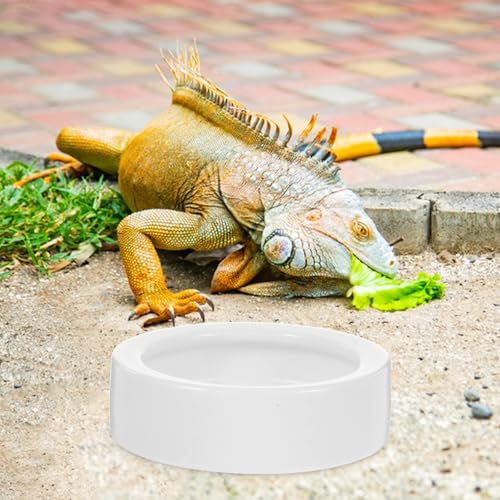 CLISPEED 2 Pcs Ceramics Reptile Feeding Bowl Set for Small Lizards, Round Lizard Feeding Dish with Anti-Escape Design, Safe and Easy to Clean White Bowls for Terrarium Use