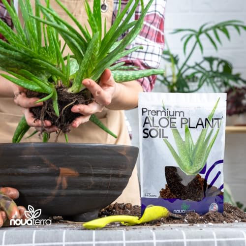 Potting Soil for Aloe Vera Plants Indoor Aloe Vera Plant Cactus Soil Potting Mix Aloe Vera Potting Mix Indoor Potted Aloe Plants Live Succulents Cactus Live Plants 2.4 Qts - color: Aloe Vera Soil