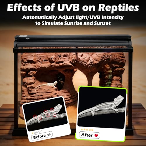 UVB Light for Reptiles 6W 9.8IN LED UVA UVB Terrarium Lamp with 4 Auto Modes for Ferguson Zones UVB Bulb with Timer for Bearded Dragon Gecko Turtle Lizard Snake Adjustable Brightness for Reptile Tank - size: 6W-9.8IN