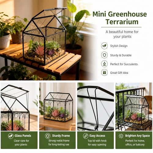 Ferrisland Glass Plant Terrarium Container Wardian Case Indoor Small Succulent Terrarium Planter W/Door for Tabletop Decor DIY (6" L x 4.3" W x 6.3" H) - size: 6" L x 4.3" W x 6.3" H