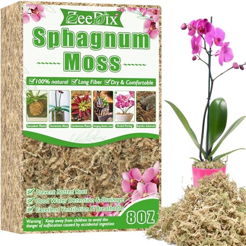 ZeeDix 8 oz Sphagnum Moss for Indoor Plants, Natural Orchid Potting Mix for Repotting, Dried Long Fiber Sphagnum Peat Moss for Carnivorous Plants Succulents Reptile Habitats (Expands to 12 qt) - size: 8 ounces