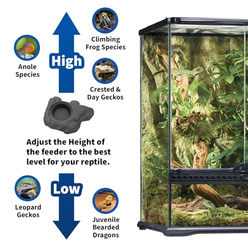 Pangea Silicone Gecko Feeding Ledge - Magnetic Mini Food Dish for Reptile Tank - 4.125" x 2.625" x 1.18" - Fits 0.5oz Cups (Black) - color: Black