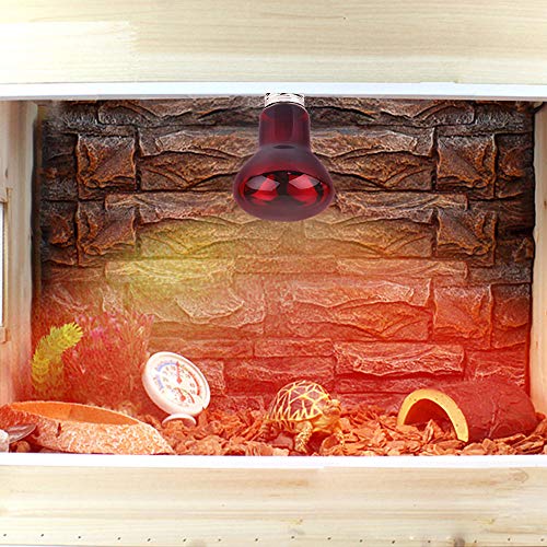 50W Infrared Heat Lamp Bulb E26 Base Red Basking Spot Light for Reptile Terrarium, Non-Disruptive Night Heater for Bearded Dragons Snake Turtle and Amphibian 2 Pack