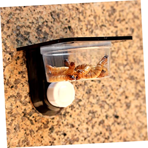 BESPORTBLE 2pcs Reptile Food Bowl Stable Fits Tanks Suction Cup Design Easy to Clean - size: Size 5
