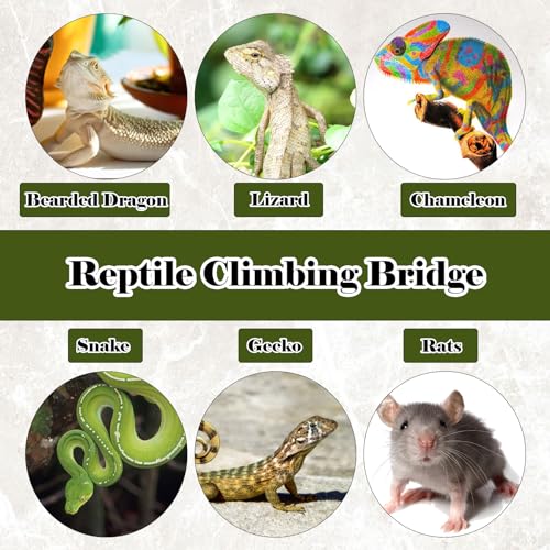 Reptile Climbing Bridge, Bamboo Lizard Ladder Bridge Bearded Dragon Hammock Lizard Lounger Hanging Terrarium Vines Decor Reptiles Habitat Tank Accessories for Gecko Chameleon(4PCS) - style: L【15.6 x 6.1 In】