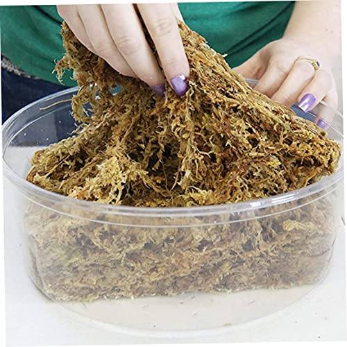 Sphagnum Moss Dried Spagnum Dry Moss for Reptiles Bedding and Terrarium Pet Supplies 150g