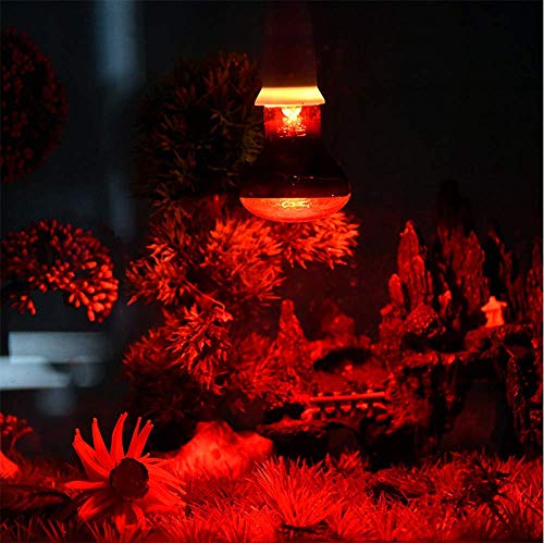 50W Infrared Heat Lamp Bulb E26 Base Red Basking Spot Light for Reptile Terrarium, Non-Disruptive Night Heater for Bearded Dragons Snake Turtle and Amphibian 2 Pack