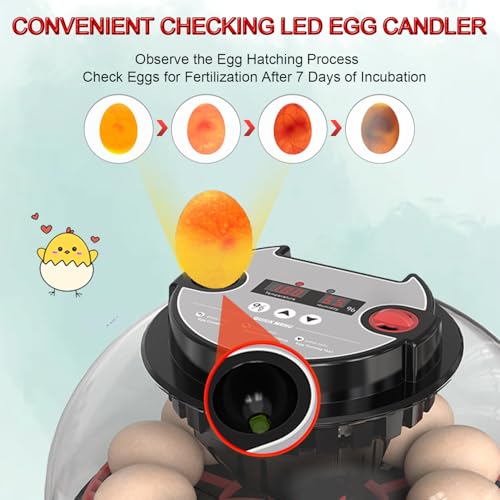 12-24 Egg Incubator with Automatic Egg Turning and Humidity Control,Water Refill,Egg Candler,Incubators for Hatching Chicken,Ducks,Goose,Quail,Pigeon,Parrot,Turkey for Farm, Home,Science Classroom