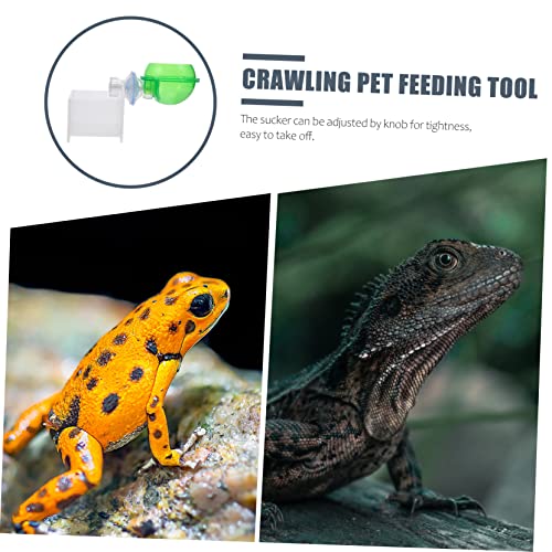 Abaodam 2pcs Reptile Feeding Bowl Cup Safe Water Dish for Lizards Geckos and Chameleons Easy to Install for Reptile Hydration