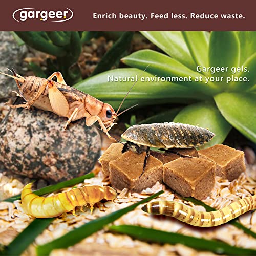 Gargeer Bugs and Insects Food. Complete Gel Diet for Roaches, Crickets, Worms, Dubia, Fly, etc. Made in The USA, Using Premium Nutritional Ingredients. 3oz Powder Turns into 1 Pound of Ready Food. - size: 3 Ounce (Pack of 1)