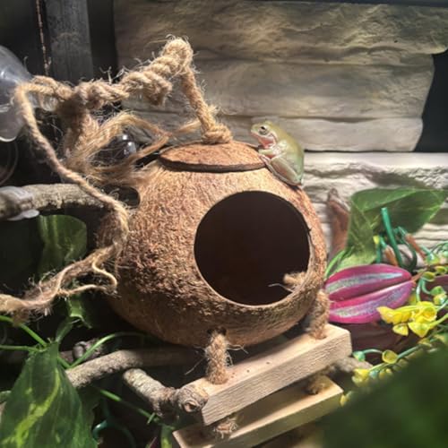 Crested Gecko Coconut Hut with Ladder,Natural Bearded Dragon Coco Den Reptile Shell Hideout Husk Hut Climbing Plants Leaves Tank Accessories for Lizard Chameleon Snakes
