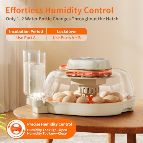 APDOE Egg Incubators for Hatching Eggs, Temperature and Humidity Control, Automatic Egg Turning, Egg Candler, External Water Bottle, Air Vent, for Chicken, Duck & Quail Eggs, 12 Eggs + 30 Quail Eggs - size: 12 Eggs + 30 Quail Eggs