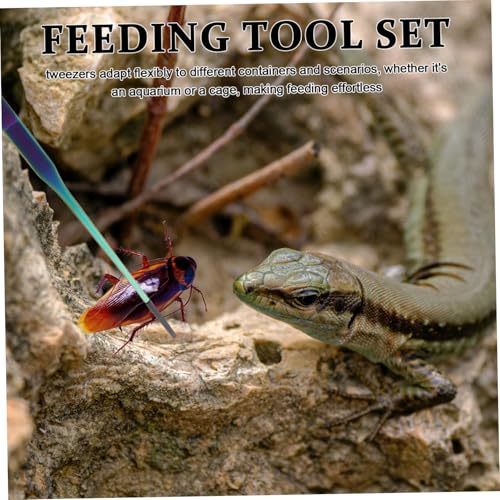 BESTonZON 2PCS Stainless Steel Aquarium Feeding Tweezers Set Curved and Straight PET Feeding Tongs for Lizards Snakes and Reptiles Long Handle Tools for Terrarium and Aquatic Plants