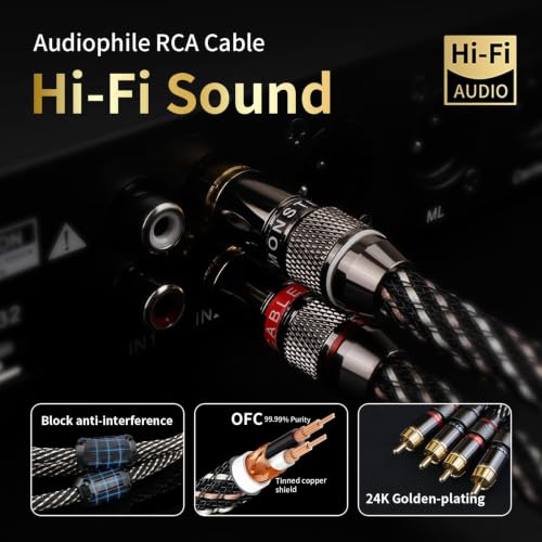 Audiophile HiFi 9.84ft Audio RCA Cables - 2RCA Male to Male - size: 9.84 ft