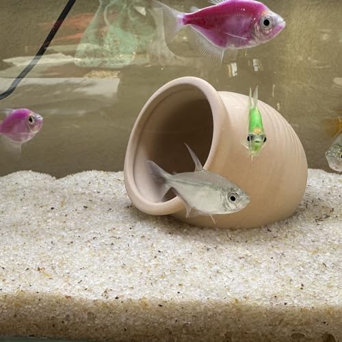 YISZM Aquarium Sand, 20lbs Beige Fish Tank Sand, Aquarium Gravel Substrate for Aquascaping, Vivariums, Terrariums, Plants and Crafts - color: Beige, size: 20 lbs