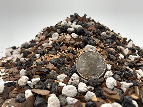 Bonsai Soil by The Bonsai Supply – 20qts. Professional Bonsai Soil Mix | Ready to use| Great for All Bonsai Tree Varieties. - size: 20 Quarts Professional Mix