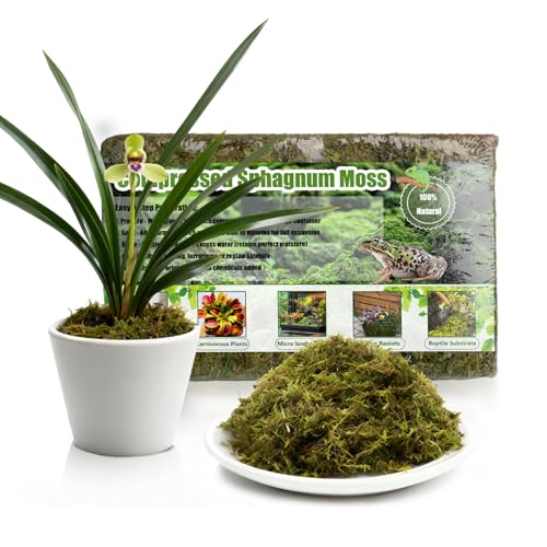 Compressed Sphagnum Moss for Plants & Reptiles (2pc)– Dried Peat Moss, Moisture-Retentive for Indoor Plants, Orchids, Terrariums, Reptile Bedding (100% Natural, Reptile-Safe - size: 2PCS