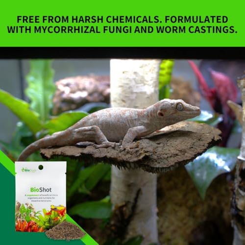 The Bio Dude BioShot for bioactive Substrate - Soil inoculant and Plant Booster (6 Quart Substrate Shot) - size: 6 quart substrate shot