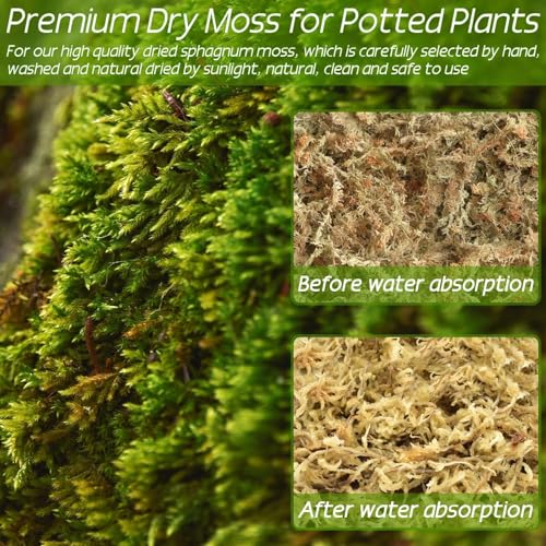 ZeeDix 3.3 lb Premium Sphagnum Moss Bulk, Dried Long Fiber Orchid Sphagnum Peat Moss for Indoor Outdoor Plants, Carnivorous Plants, Succulent, Monstera & Reptiles Habitats (Expands to 60 qt) - size: 3.3 pounds