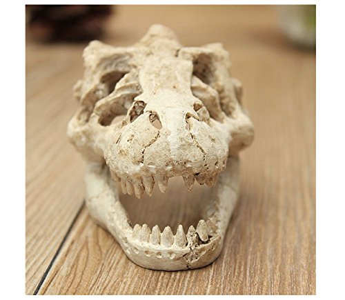 Hewnda Aquarium Decoration Skeleton Hole Resin Artificial Dinosaur Skull Skeleton Ornament - Fish Tank Small Skull Aquarium Decorations cave Landscape pet Reptile House