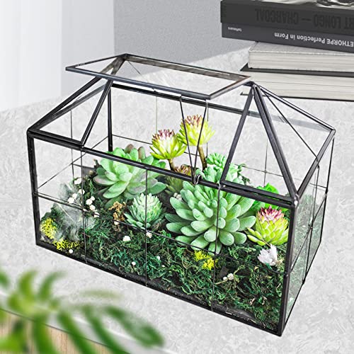 Ferrisland Glass Terrarium Greenhouse House Shape Display Box Planter for Succulents Plant Terrarium Container Mordern Tabletop Decor Gardern DIY Kit - size: 9.1"L x 7.3"H 5.4"W