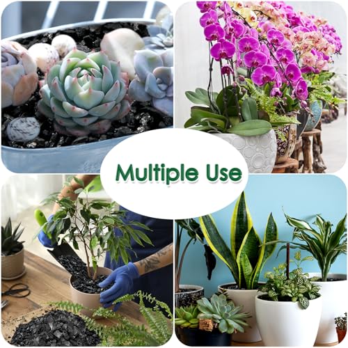 Horticultural Charcoal for Plants,Enhance Drainage and Improve Soil,Premium Activated Charcoal for Plants Indoor & Outdoor,Suitable Succulents,Orchids,Cacti,Gardening-1 QT