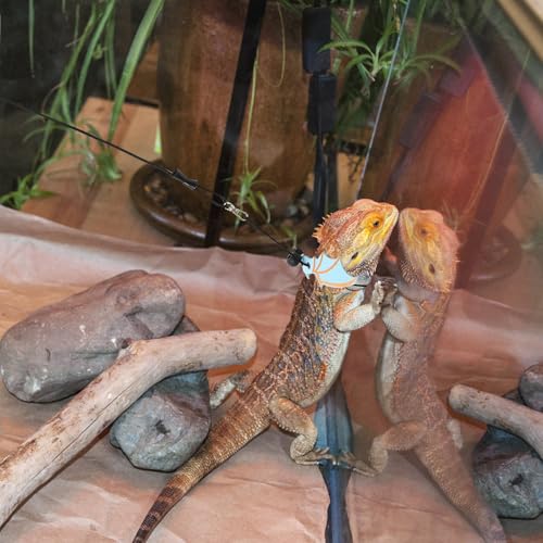 Cabilock Adjustable Blue Outdoor Lizard Carrier Bag with Leash Portable Reptile Travel Sling for Bearded Dragon and Small Reptiles