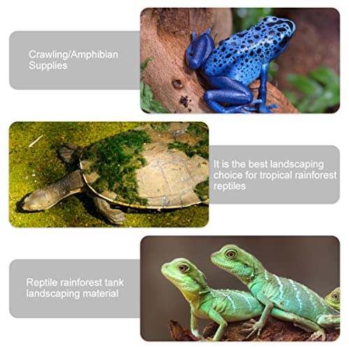 PRETYZOOM 8pcs Bendable Reptile Vines for PET Habitat Decor Artificial Climbing Plants Simulation Suction Cups for Terrariums and Tank Accessories