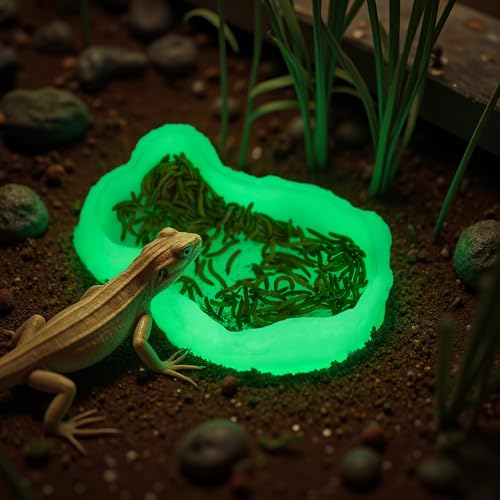 AZV Mini Reptile Food Water Rock Bowls,Luminous Amphibian Feeding Dish,Resin Rock Worm Feeder Terrarium for Lizards,Chameleon,Leopard Gecko,Frog,Bearded Dragons,Snake,Hermit Crabs,Turtle Spider Pet - size: Mini(3*4*1.1in)