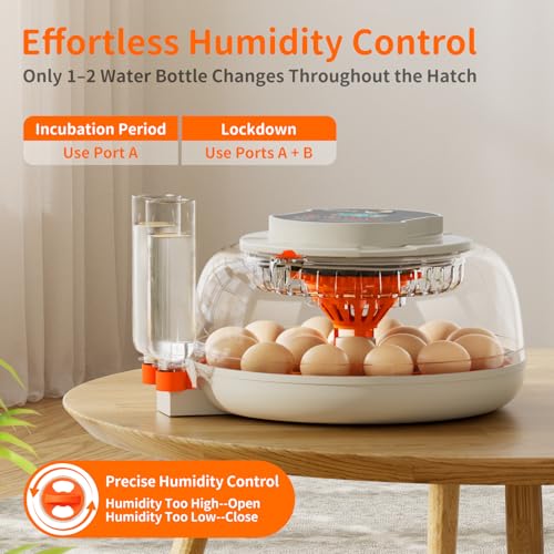 APDOE Egg Incubators for Hatching Eggs, Temperature and Humidity Control, Automatic Egg Turning, Egg Candler, External Water Bottle, Air Vent, for Chicken, Duck & Quail Eggs, 18 Eggs - size: 18 Eggs