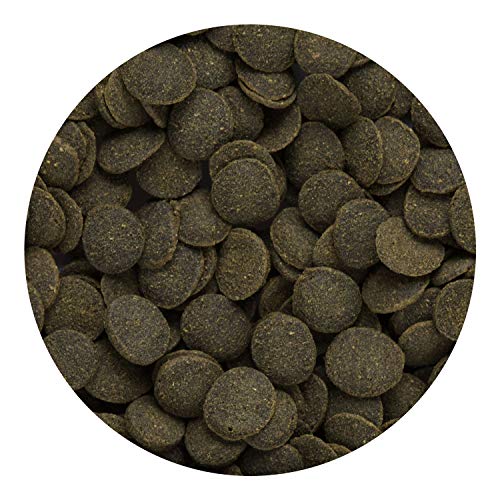 Hikari Tropical Mini Algae Wafers Fish Food, 2.2 lb (1kg) - size: 2.2 Pound (Pack of 1)