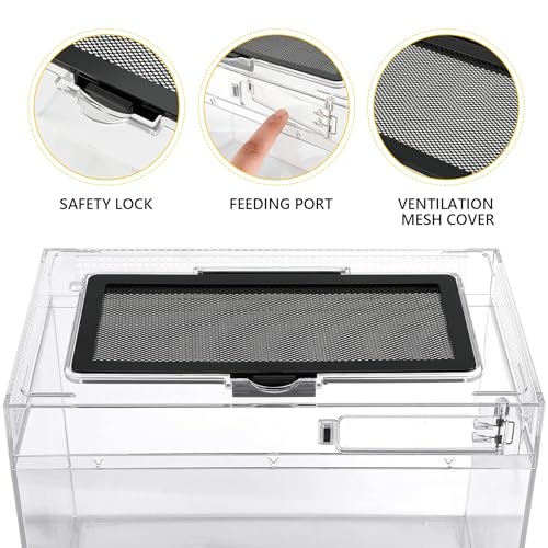 Reptile PC Terrarium Amphibian Tank Spider Enclosure Snake Cage 7x11.8x5.9inch Suitable for breeding Leopard Gecko,Frog,Hermit Crab,Lizards,Isopod,Tarantula,Turtles,Chameleons,Jumping Spiders - size: Large