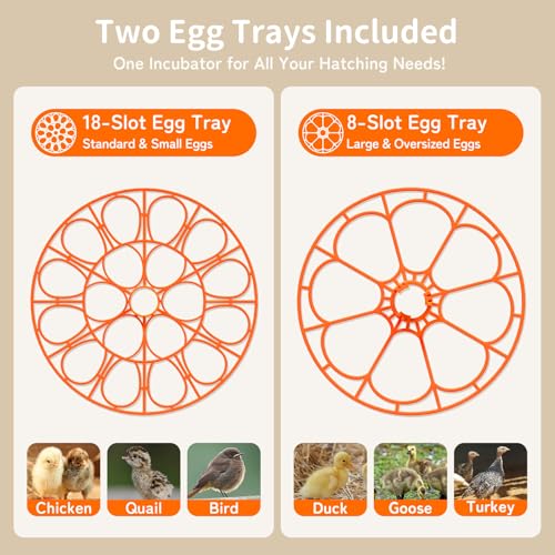 APDOE Egg Incubators for Hatching Eggs, Temperature and Humidity Control, Automatic Egg Turning, Egg Candler, External Water Bottle, Air Vent, for Chicken, Duck & Quail Eggs, 18 Eggs - size: 18 Eggs