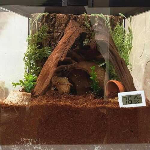 BNOSDM 2PCS Reptile Soil Substrate,Fluffy Small-Strand Reptile Substrate,Natural Terrarium Bioactive Soil Bedding for Snakes, Lizards, Tortoises Tarantulas,Lizards - color: 2PCS 1.32gal (Total 2.64gal)