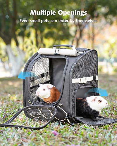Pecute Small Pet Carrier, Breathable Bearded Dragon Carrier, with Transparent Bubble & Steel Frame, Safety Lock for Hamster, Rabbit, Guinea Pig, Parrot, Kitten, Puppy, Ideal for Travel/Vet Visits/Camp - color: Gray