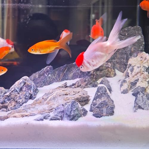 YISZM Aquarium Sand, 2lbs White Fish Tank Sand, Aquarium Gravel Substrate for Aquascaping, Vivariums, Terrariums, Plants and Crafts - color: White, size: 2 lbs