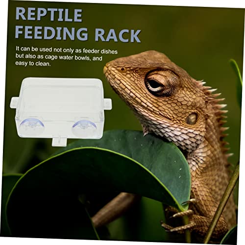 Hemoton 2pcs Reptile Feeding Bowls Escape Water Basin for Tanks Suction Cup Reptile Food Dishes Supplies
