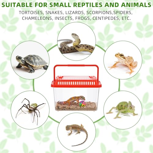 LemonRoad 25 Pcs Plastic Reptile Terrariums Carrier Cage Enclosure Snake Breeding Box Hatching Container Fish Tank with Ventilated Lid for Tarantula Spider Turtle Lizard (Classic,5.1x3.5x3.5 Inch) - color: Classic, size: 5.1x3.5x3.5 Inch