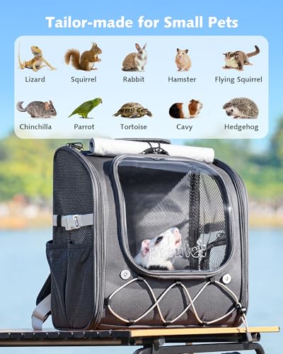 Pecute Small Pet Carrier, Breathable Bearded Dragon Carrier, with Transparent Bubble & Steel Frame, Safety Lock for Hamster, Rabbit, Guinea Pig, Parrot, Kitten, Puppy, Ideal for Travel/Vet Visits/Camp - color: Gray