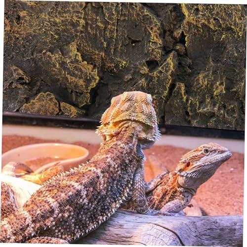 Kisangel Reptile Rock Background Board Decorative Panel for Turtle Tank Super Large Size Pu Material Fade-Resistant 3D Effect