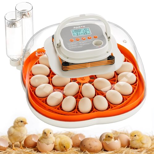 APDOE Egg Incubators for Hatching Eggs, Temperature and Humidity Control, Automatic Egg Turning, Egg Candler, External Water Bottle, Air Vent, for Chicken, Duck & Quail Eggs, 25 Eggs - size: 25 Eggs